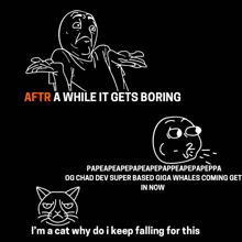 a meme that says after a while it gets boring and i 'm a cat why do i keep falling