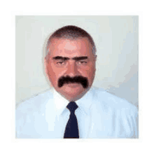 a man with a mustache and eyebrows is wearing a white shirt and black tie .