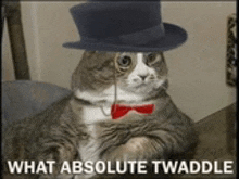 a cat wearing a top hat and a bow tie says what absolute twaddle