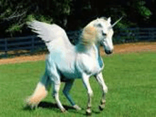 a white unicorn with wings and a horn is walking in a field .