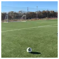 a soccer ball is on the grass near the goal