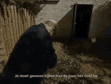 a man standing in front of a brick wall with the words je moet gewoon kijken hoe de baas het doet he below