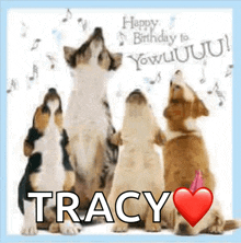 a birthday card for tracy with a group of dogs howling