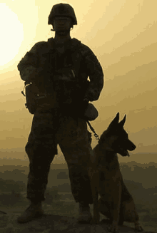 a soldier stands next to a german shepherd dog