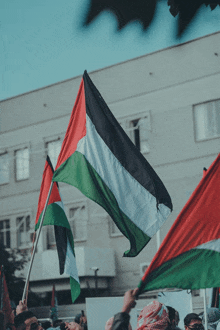 a group of people holding flags including a green white and red flag