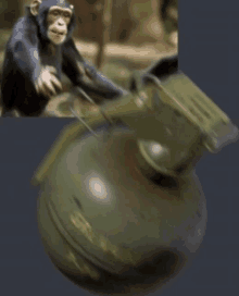 a picture of a chimpanzee next to a green grenade that says gp on it