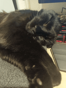 a black cat is sleeping on a desk next to a keyboard that says enter