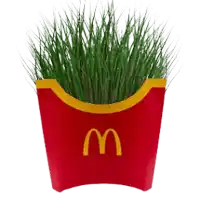 a mcdonald 's french fries container with green grass inside