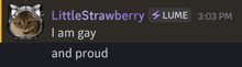 a screenshot of a chat with little strawberry