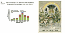 an advertisement for eno 's a fruit cake is next to a graph