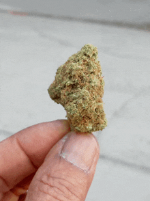 a close up of a person holding a small piece of marijuana