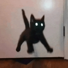 a black cat is jumping in the air with its eyes glowing .