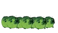 a row of green caterpillars are lined up in a row