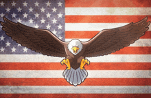 a bald eagle is flying in front of a flag