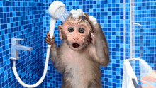 a monkey taking a shower in a bathroom with blue tiles