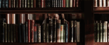 a woman peeking out from behind a book shelf with a book titled ' a brief history of the world ' on it