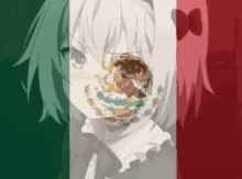 a girl with a mexican flag behind her face