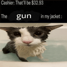 a cat in a bathtub with a caption that says " cashier that 'll be $ 32.93 the gun in my jacket : "