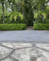 a road surrounded by palm trees and a stone walkway
