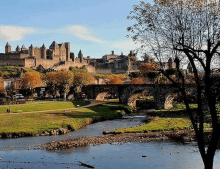 a large castle is sitting on top of a hill next to a river .