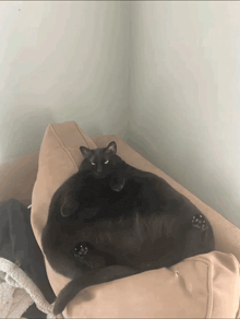 a black cat is laying on a couch with its paws on the pillow