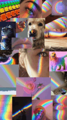 a collage of pictures with rainbows and a dog