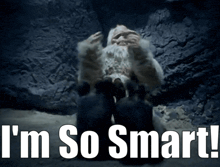a picture of a yeti with the words i 'm so smart