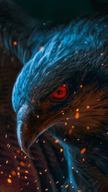 a close up of a bird 's face with red eyes