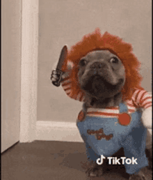 a dog dressed as chucky is holding a knife in its mouth .