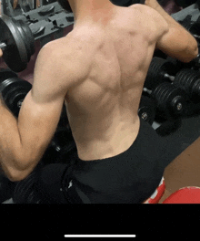 a shirtless man is lifting a dumbbell in a gym with a lot of dumbbells