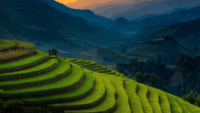 a small house sits in the middle of a lush green field