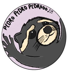 a cartoon drawing of a raccoon with the words pedro pedrooo written around it