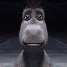 a donkey with a crown on its head is smiling at the camera