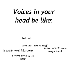 a white background with black text that says voices in your head be like