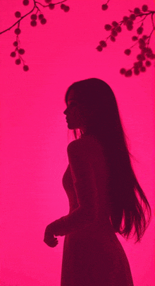 a silhouette of a woman with long hair in front of a pink background .