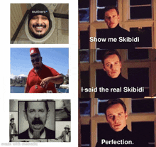 a meme that says show me skibidi i said the real skibidi perfection made with mematic