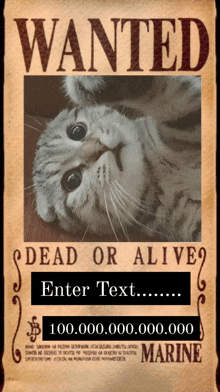 a wanted poster has a cat on it