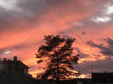 a sunset with a tree in the foreground and a roof in the background