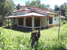 a white house with a red roof is surrounded by trees