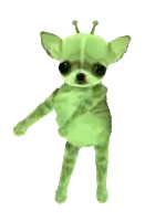 a small green chihuahua with antennas on its ears