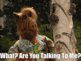 a cartoon character with the words what are you talking to me below him