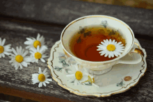 a cup of tea on a saucer with daisies in it