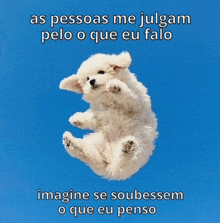 a picture of a puppy flying through the air with a caption that says imagine se soubessem o que eu penso