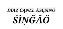 a white background with the words diaz canel asesino singao written in black