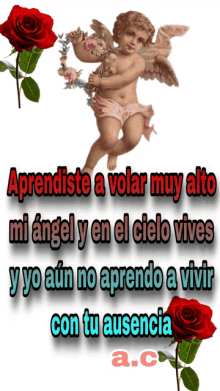 a picture of a cherub with the words " aprendiste a volar muy alto "