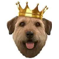 a small brown dog wearing a gold crown