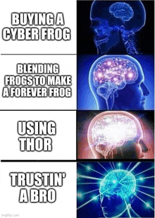 a meme about buying a cyber frog blending frogs to make a forever frog and using thor