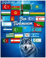 a wolf is standing in front of a wall of flags and the words ben turkmenim