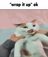 a cat is being held in someone 's arms and says `` wrap it up `` ok .