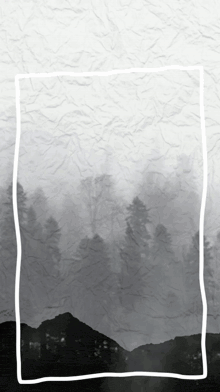 a black and white photo of a forest with mountains in the background